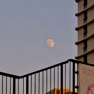 国产成人高清在线观看视频
