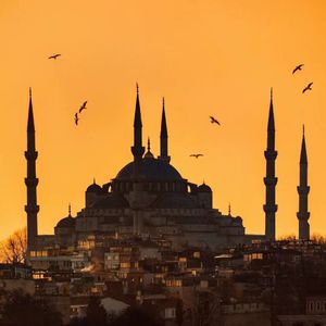 国产成人高清在线观看视频
