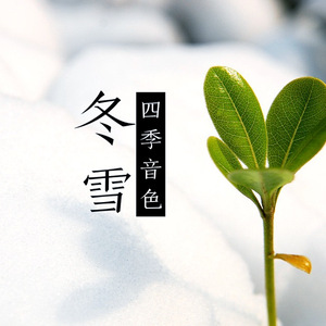 国产成人高清在线观看视频
